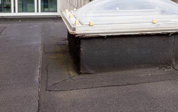 disadvantages of Guns Village flat roofs